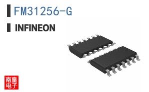 FM31256-G