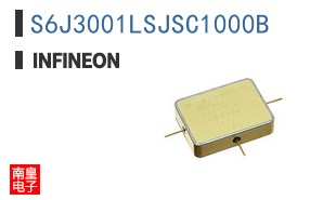 S6J3001LSJSC1000B